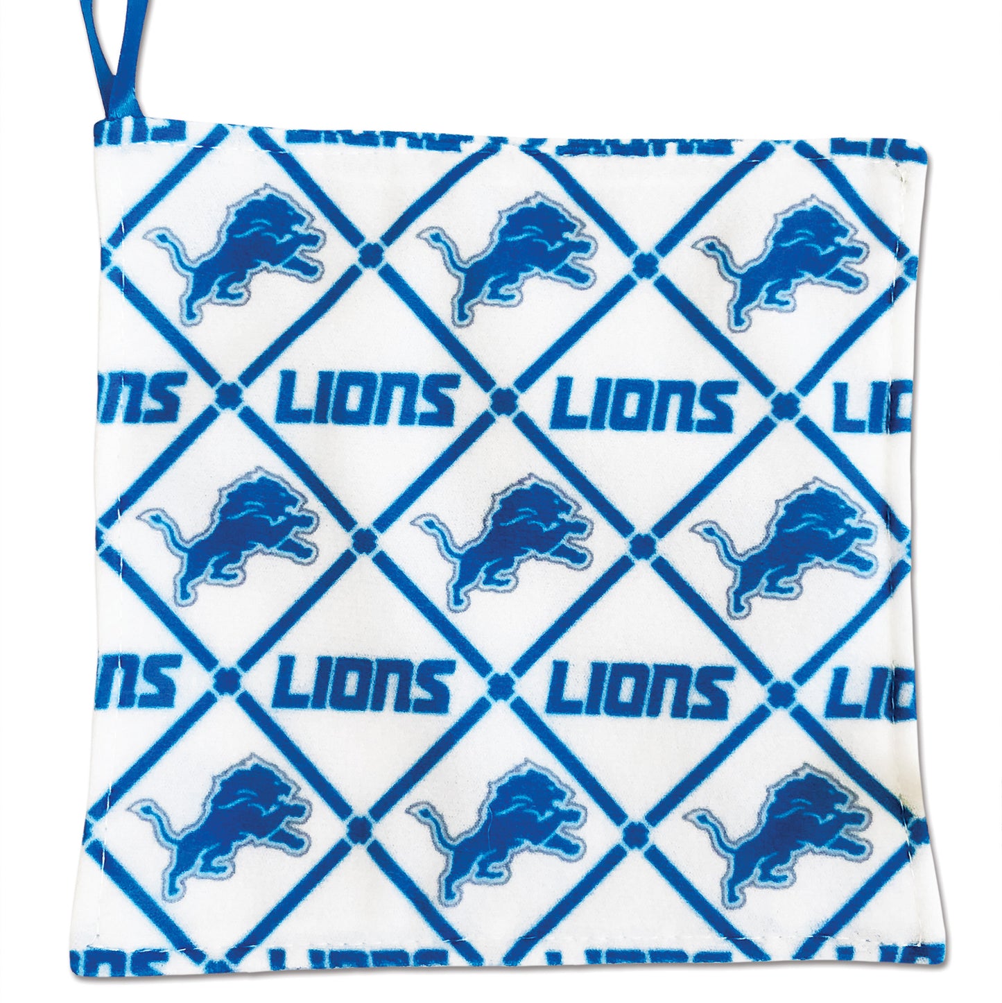 Detroit Lions licensed NFL Gift Set-Book with Rally Paper