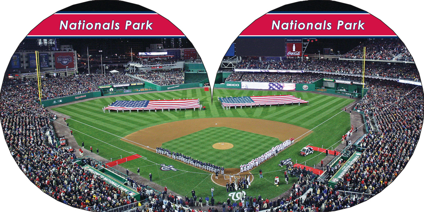 Washington Nationals 101