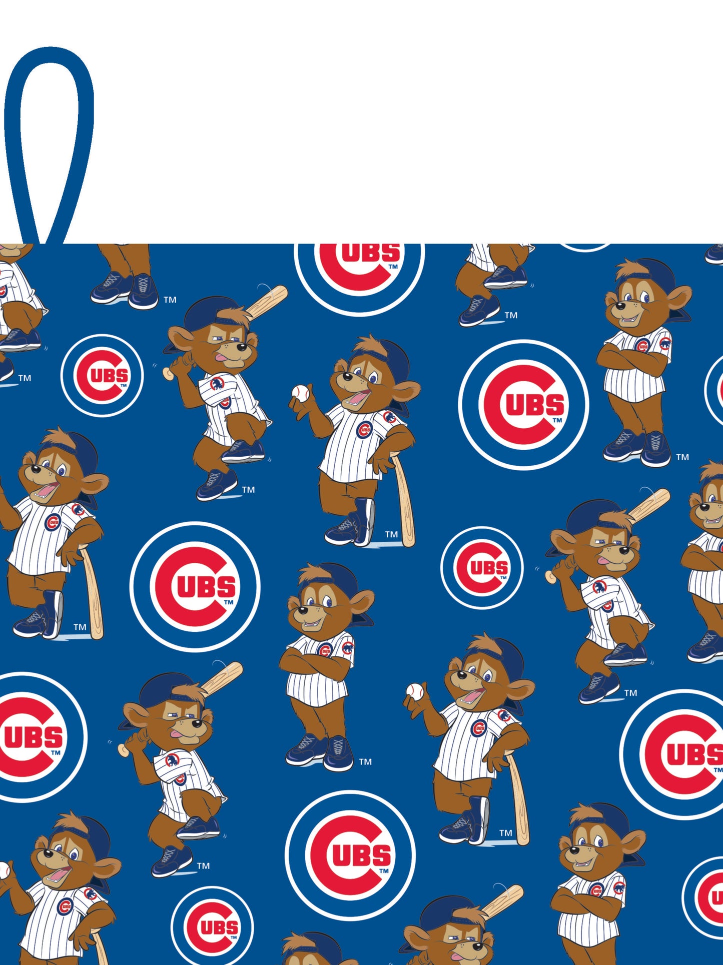Chicago Cubs Gift Bag-Book & Rally Paper